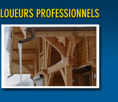 Loueurs professionnels